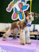 Negocio Burbur Pet Care