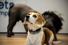 Negocio Caelum Pets | Tanatorio Y Crematorio De Mascotas En Alicante