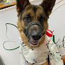Negocio KibÚ Mascotas