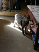 Negocio Kiwoko. Mundo Animal