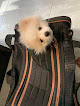 Negocio Peluquería Mascotas Snupy