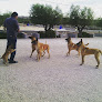 Negocio Seguracan Centro Canino