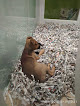Negocio Tiendanimal